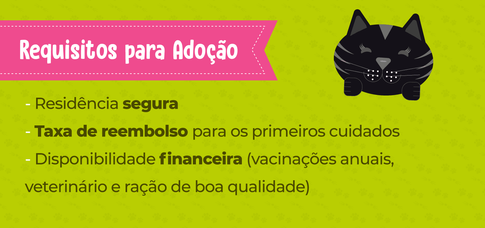 Adoção: você está preparado para cuidar de cachorro ou gato?